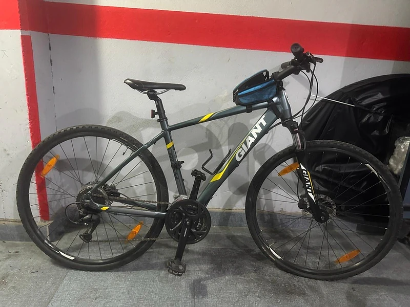 Giant bike