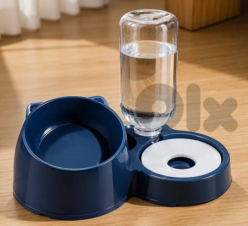 pet bowl