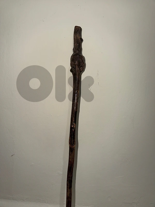 عصا سنديان
