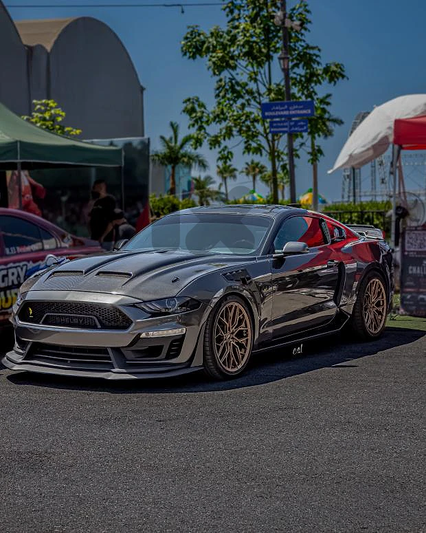2018 ford mustang 5.0 GT Gen3 performance pack 10 speed (supersnake)