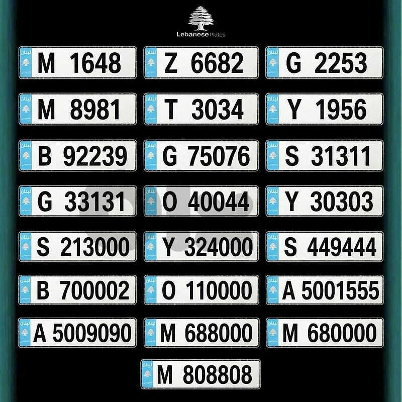Special Plate Number