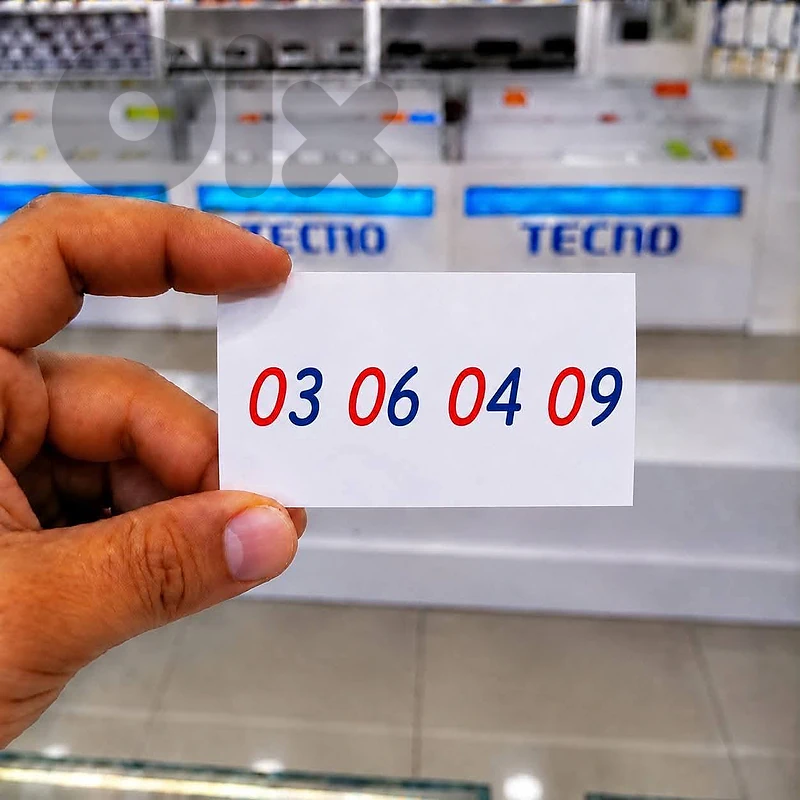 أجمل رقم 03 كلو صفار تشريج وسعر حلو