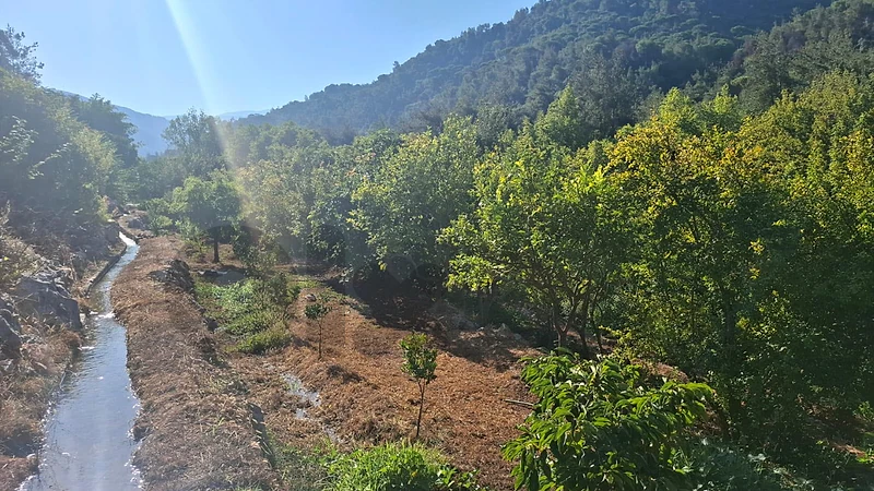 Land for sale in Aley/ Selfayaأرض للبيع في سلفايا