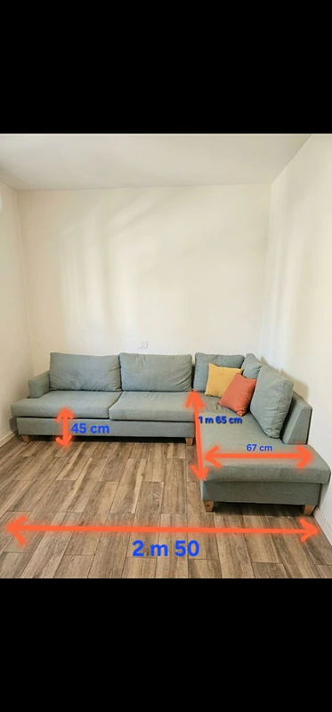 L shape sofa Couch