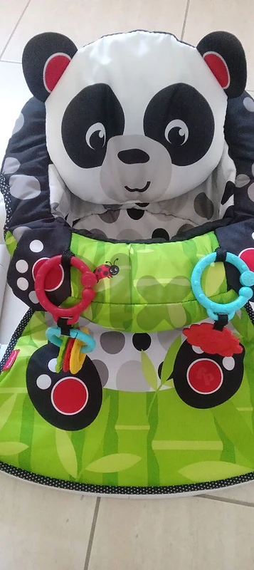 Fisher Price infant seat