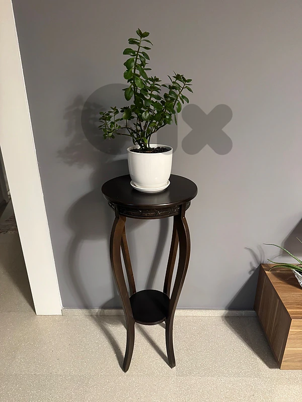 round wooden plant stand
