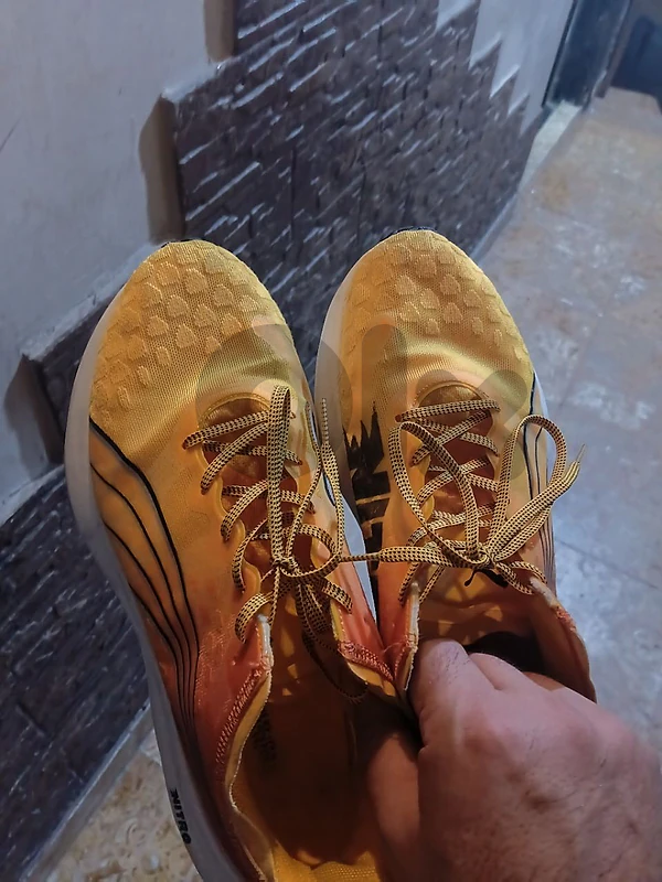nitro  puma