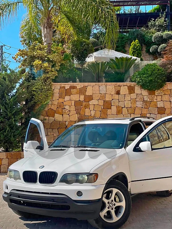 BMW X5 2001