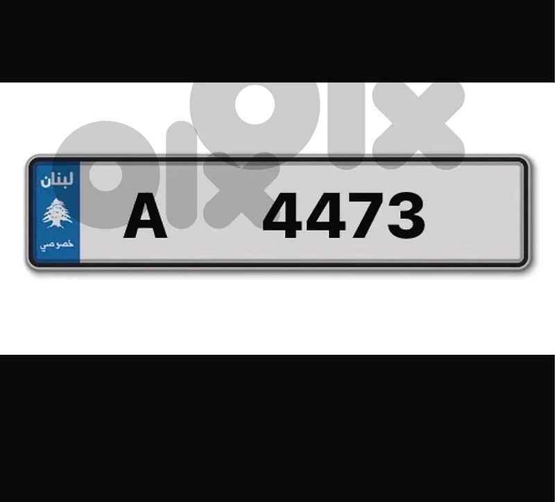 special plate A 4473