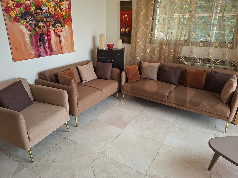 Living Room Sofas