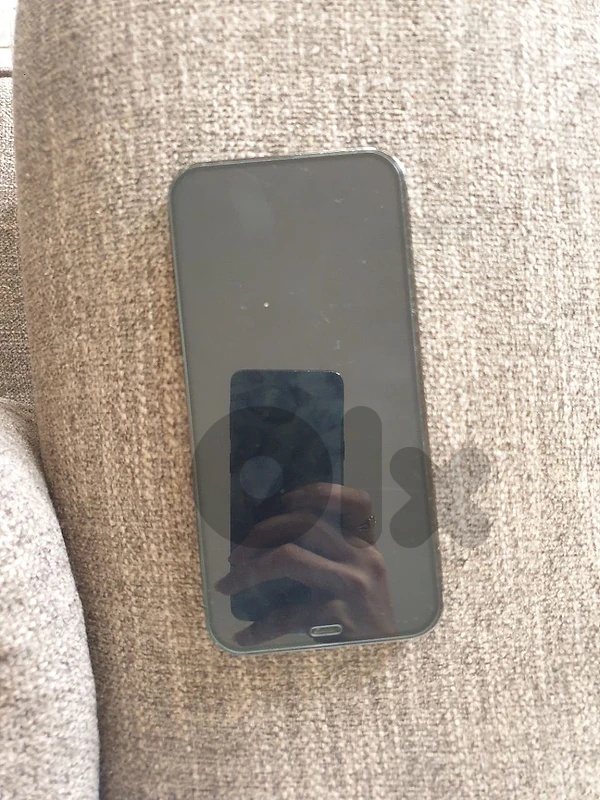 12 pro available now