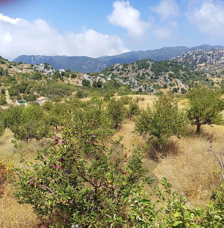 Land for sale in Mayroubaعقار للبيع في ميروبا