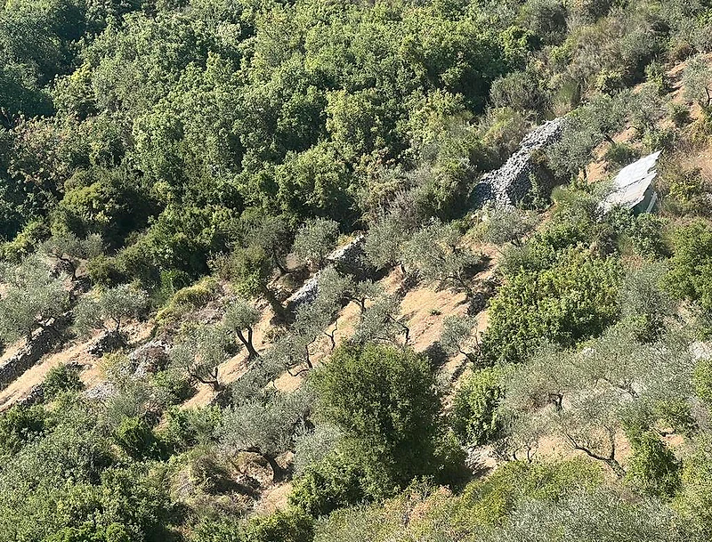 Land for sale in Batroun Deria عقار للبيع في دريا بترون