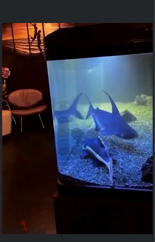 Aquarium fish tank + closet kit (serious buyers please)