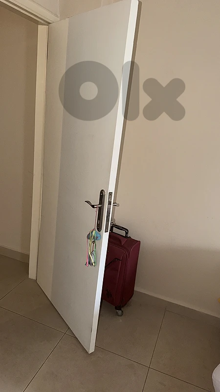 door with handles