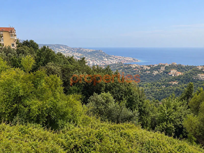 Land For Sale in Kfour أرض للبيع في الكفور CPKMF252 Land For Sale in Kfour أرض للبيع في الكفور CPKMF252