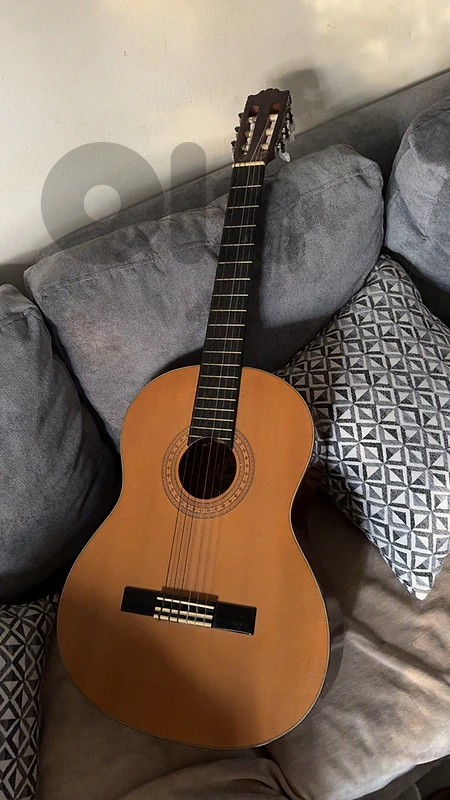 acoustic guitar