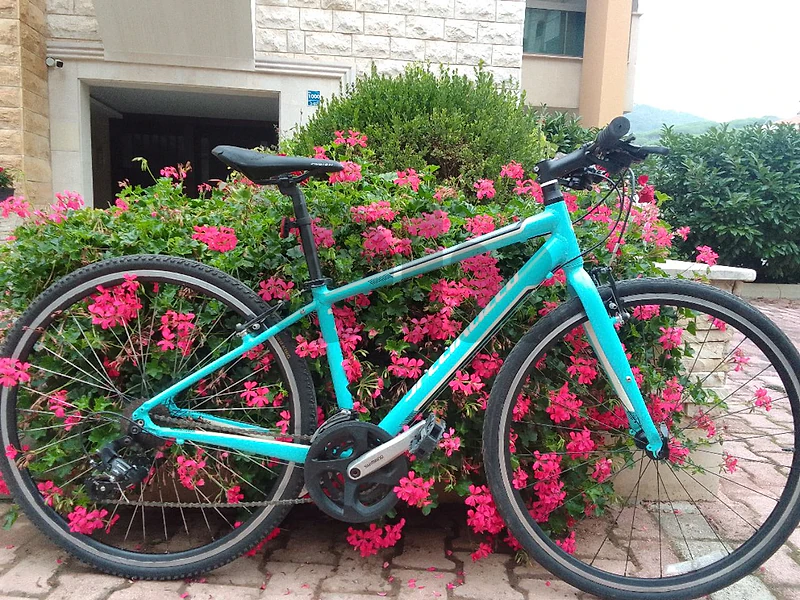 Specialized Vita