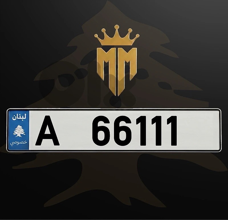 A 66111