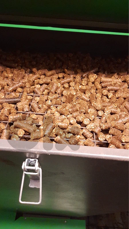 Pellet water boiler
