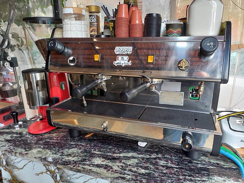 pavoni gaz and electricity