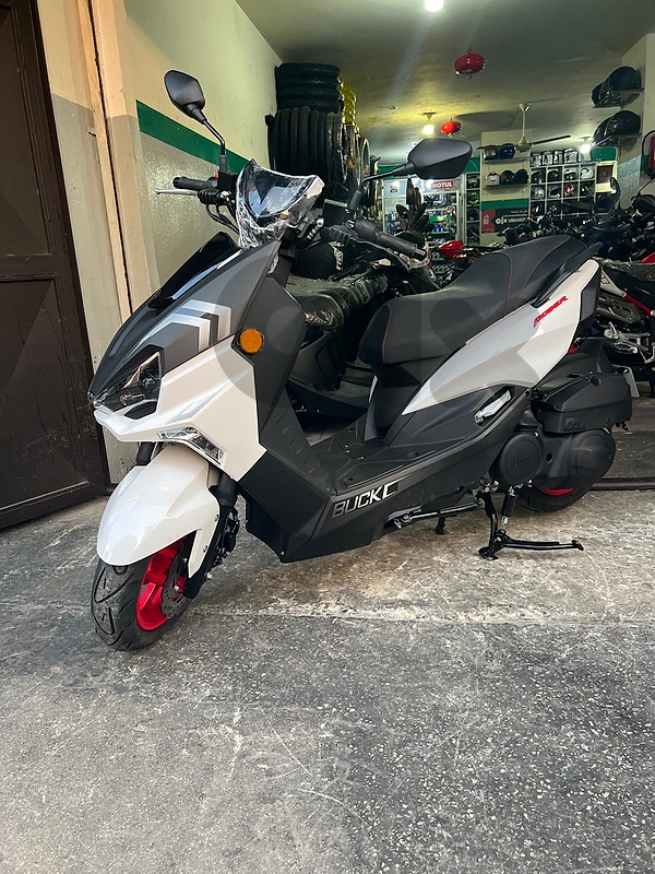 LINHAI BUCK 155