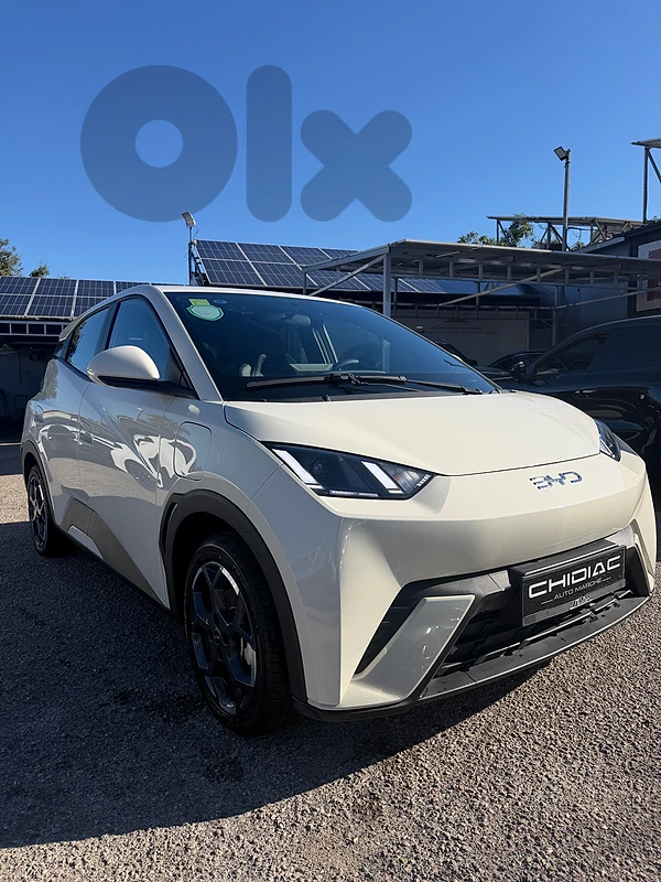 BYD Seagull 2024