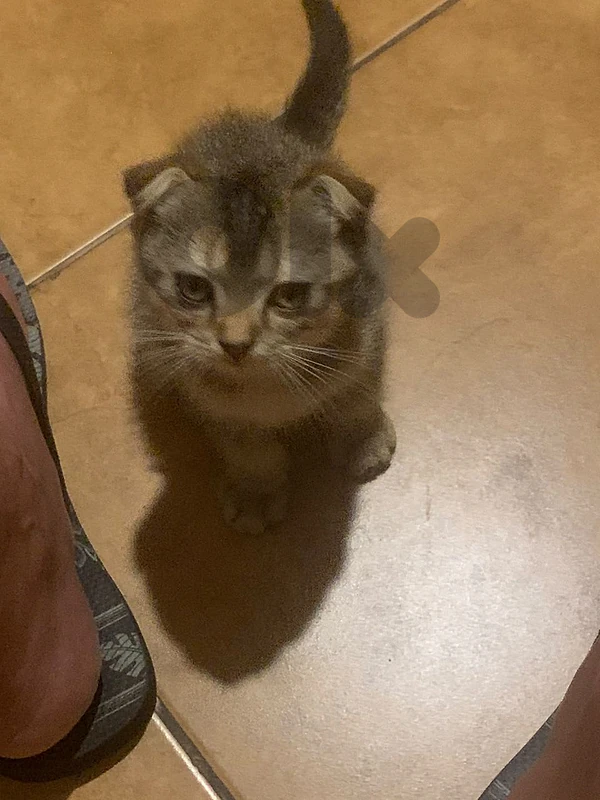 male 2 month 5 days