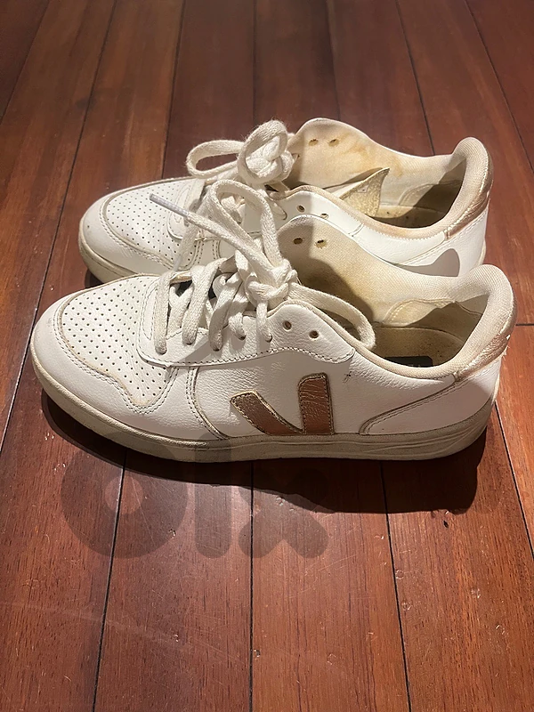 veja sneakers