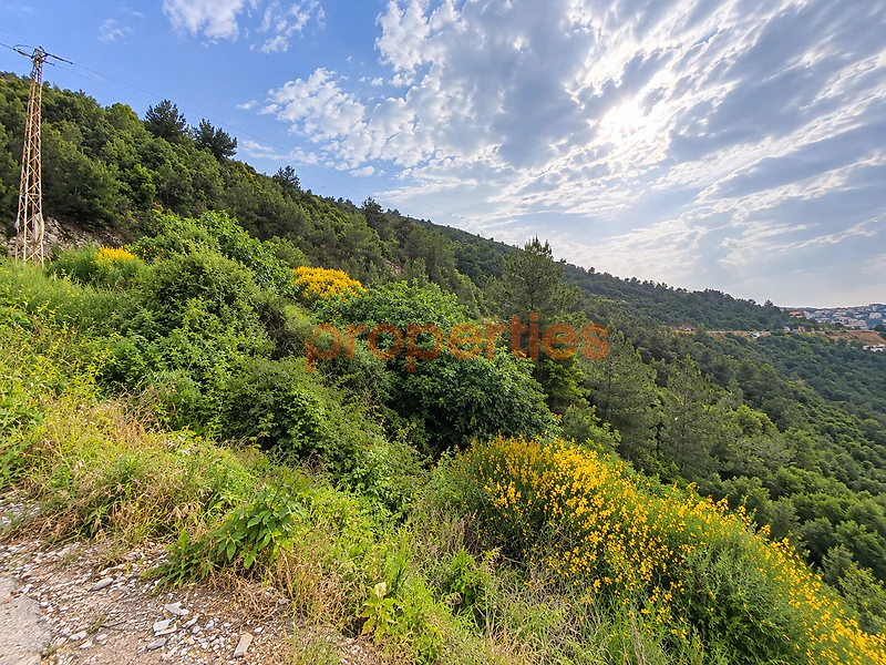 Land For Sale In Kousba-CPJMS26