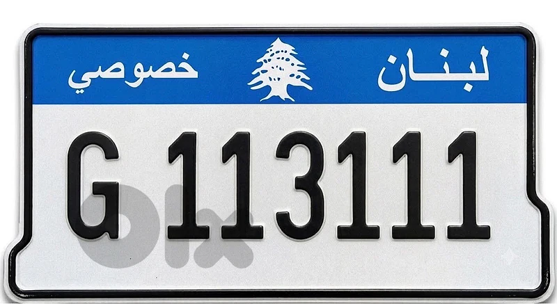 G 113111