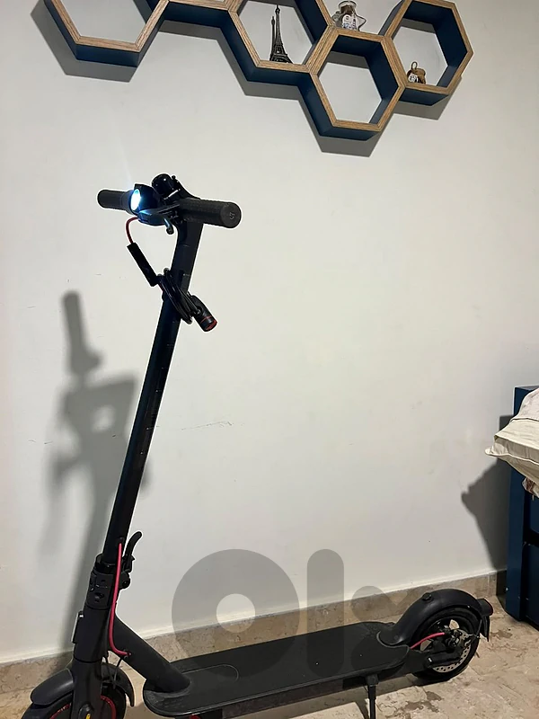 electric scooter