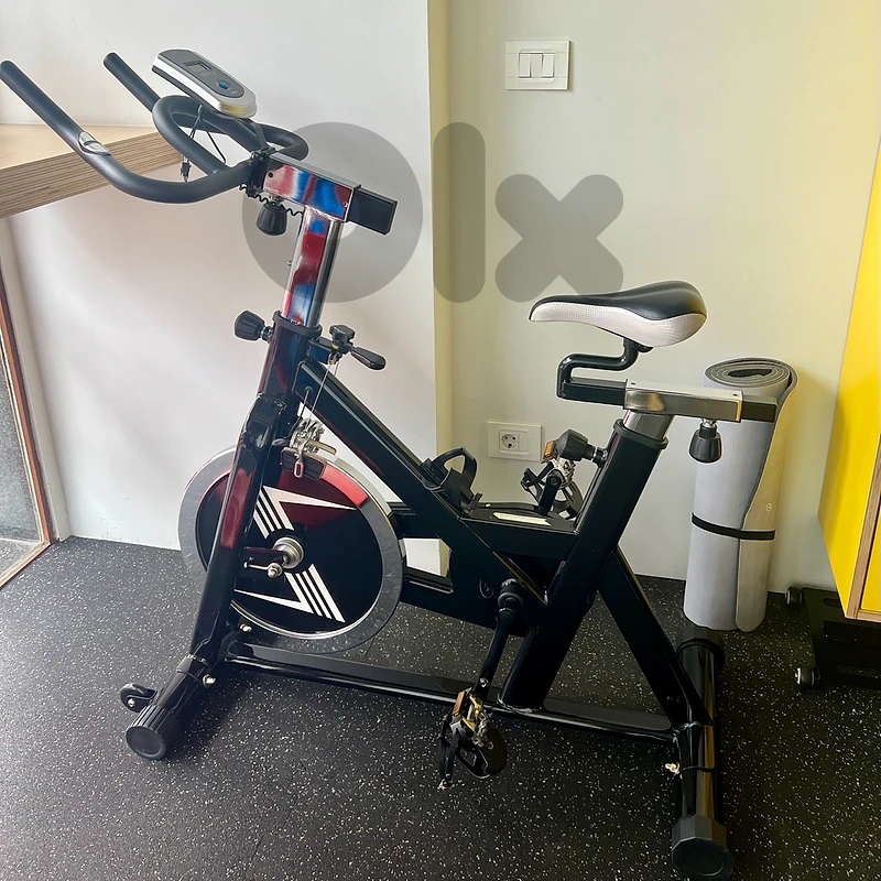 Body System Professional Spinning Bike – $190