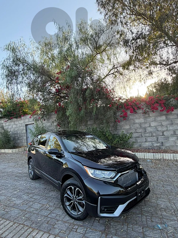 Honda CR-V 2020 1.5T