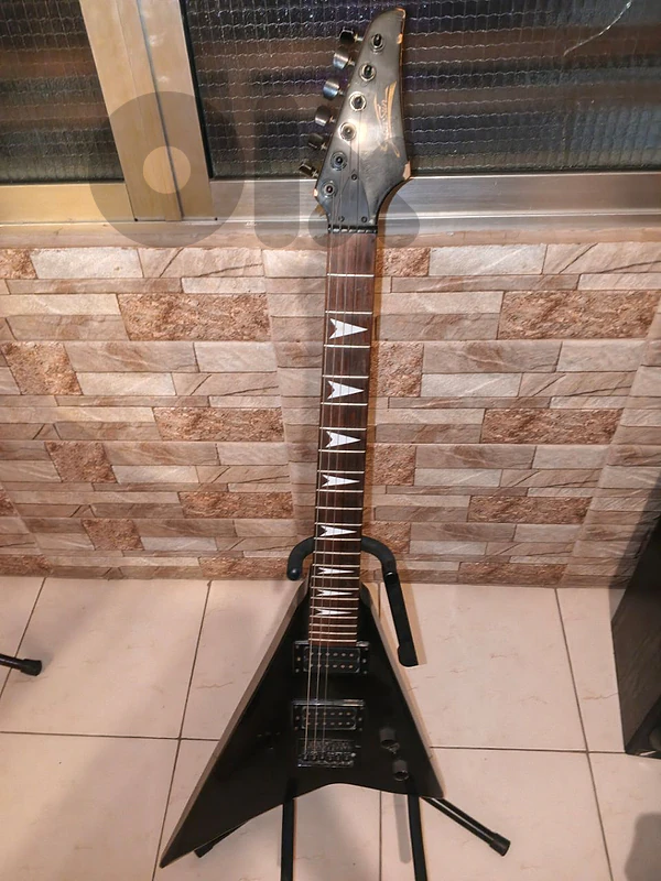 Electric Guitar