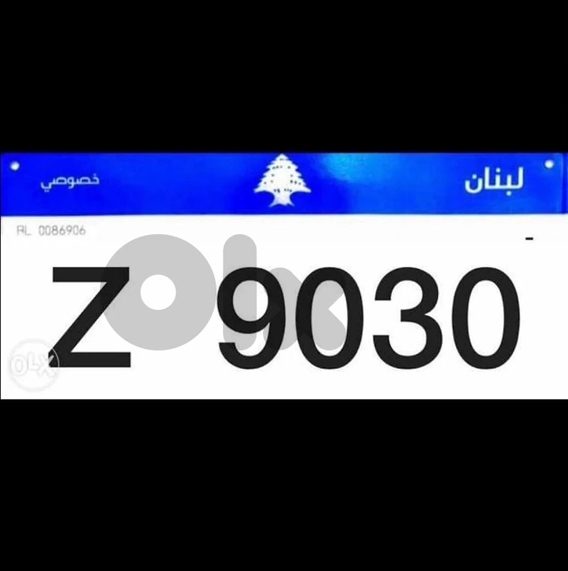 special plate number