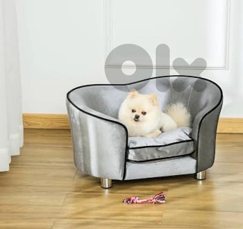 cat dog grey bed