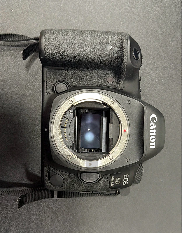 canon 5D mark IV with lens 24-105
