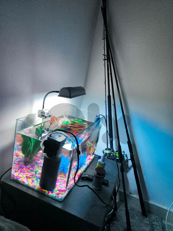 fish tank