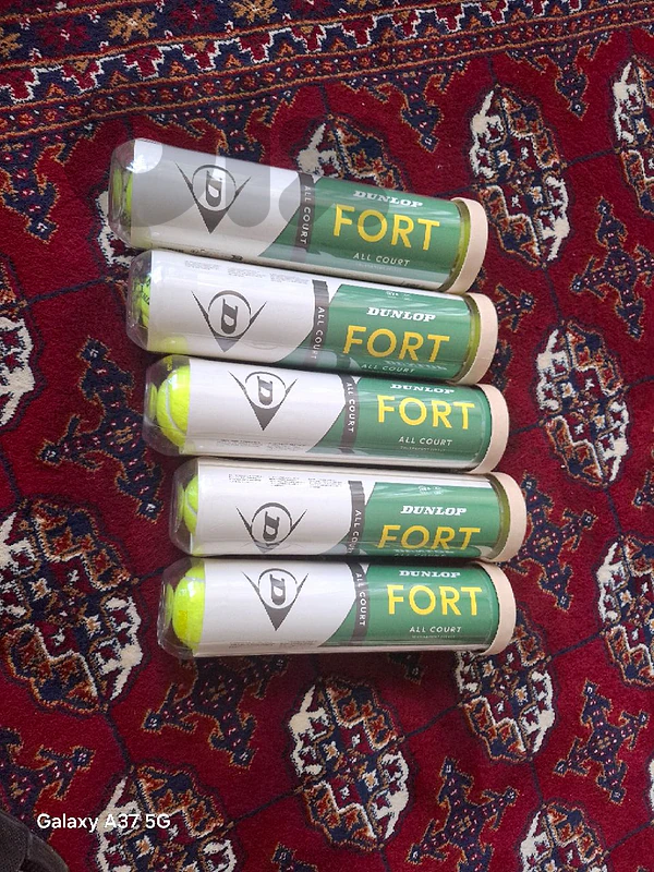 For sale 4 or 5 cans of Dunlop Fort all court