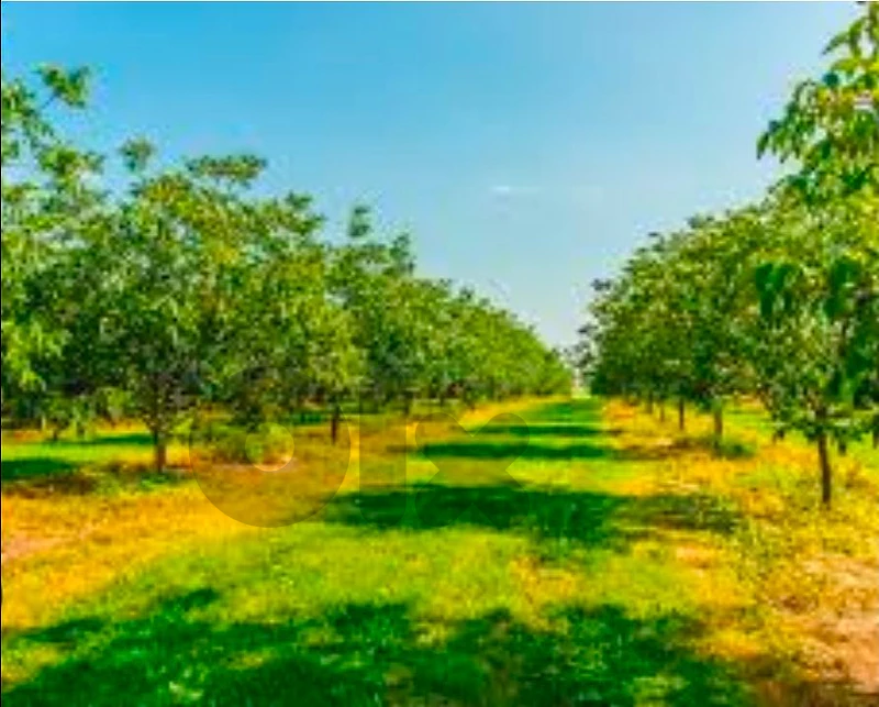 Agricultural Land for Sale in Bdedoun