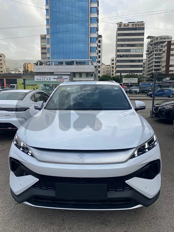 BYD Other 2025 song pro