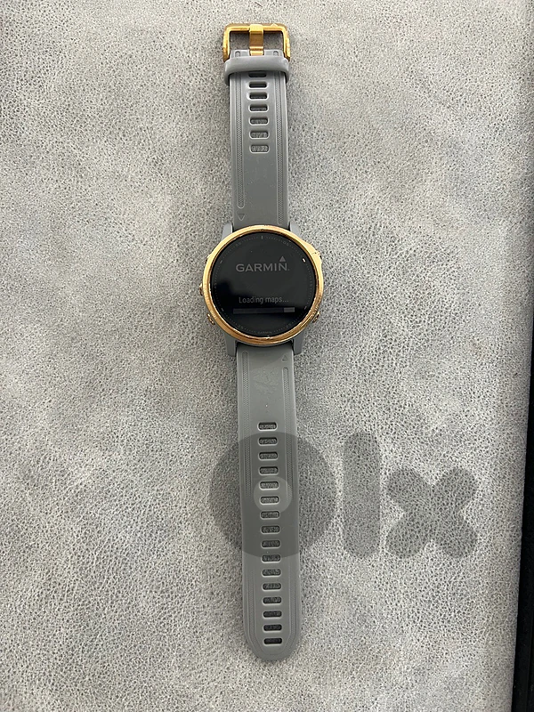garmin fenix 6S