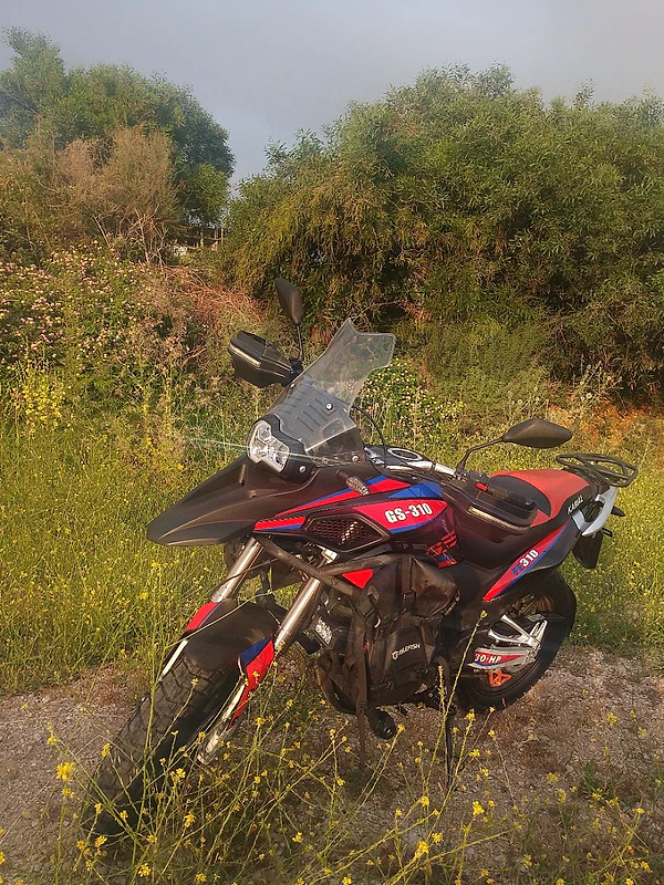gs 310