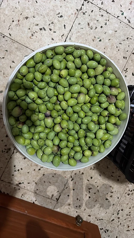 زيت زبتون