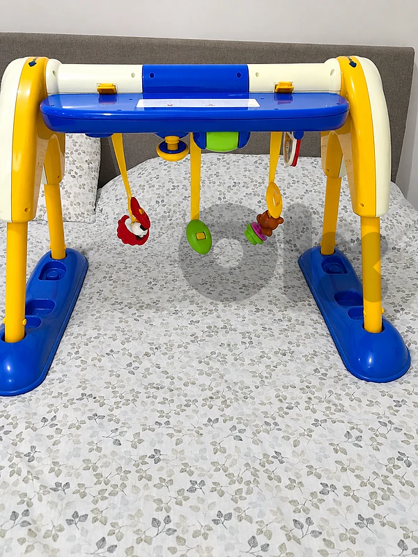 Baby Intercative Toy