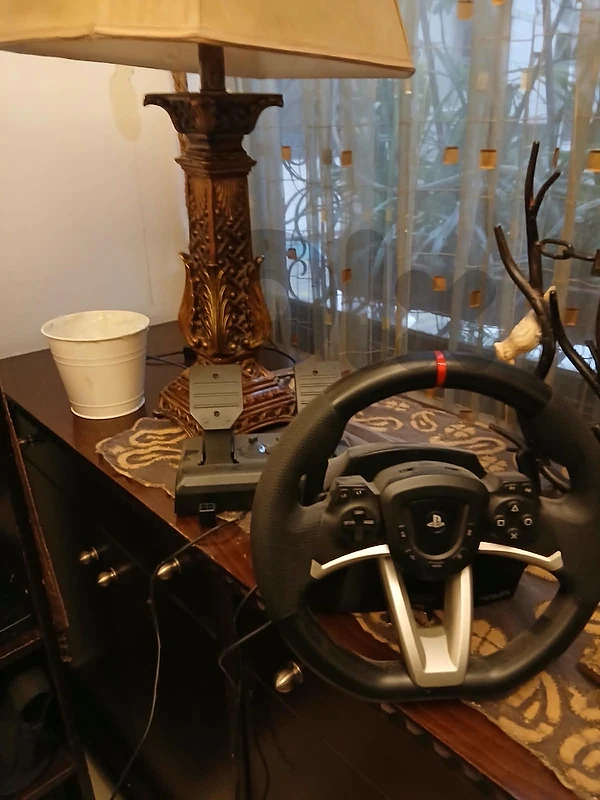 steering wheel and the padels