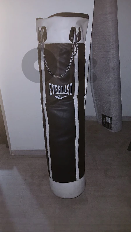 Boxing bag + gloves
