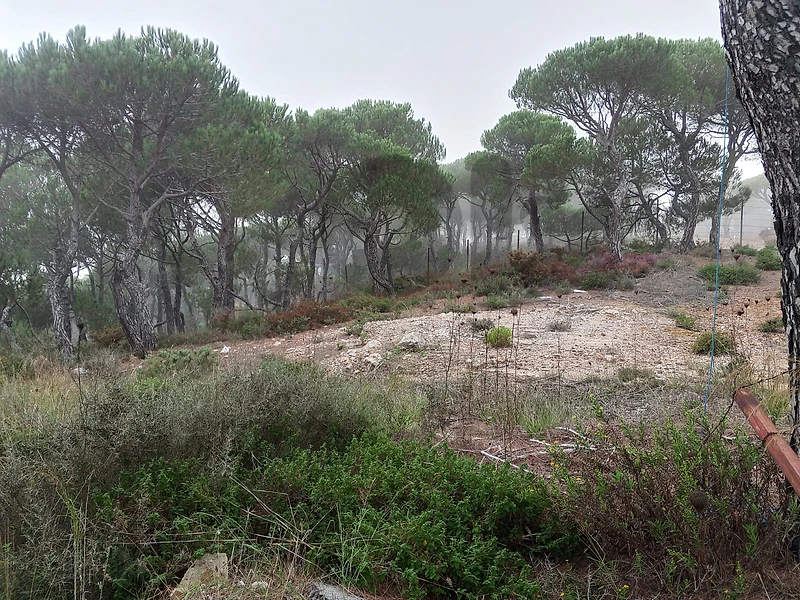 Land for sale in Bikfaya-Naas ارض للبيع في بكفايا-نعص