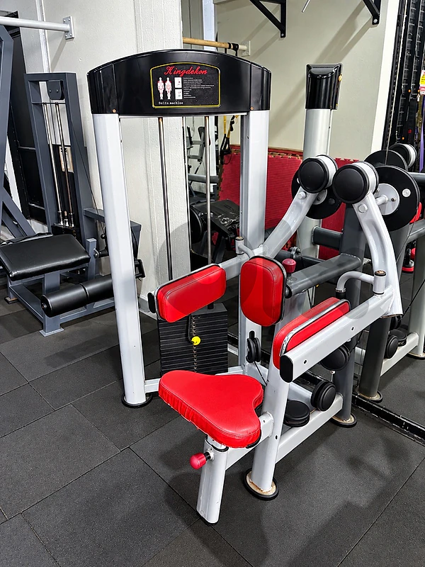 lateral raise machine